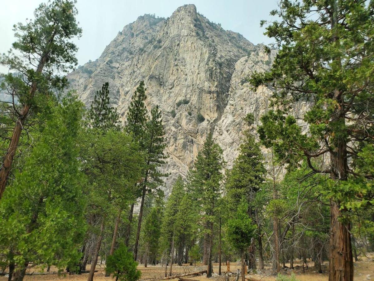 Sequoia Glen Villa Wilsonia Eksteriør bilde