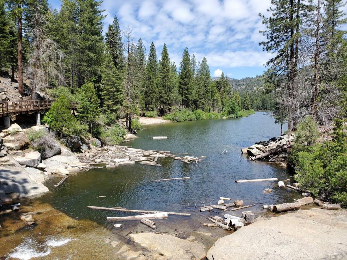 Sequoia Glen Villa Wilsonia Eksteriør bilde